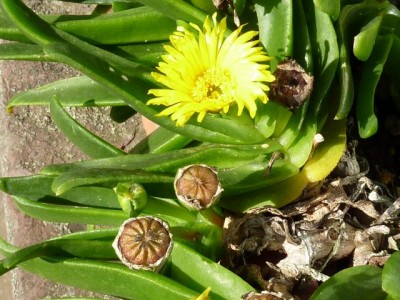 20120912 007 - Kopie (640x480).jpg