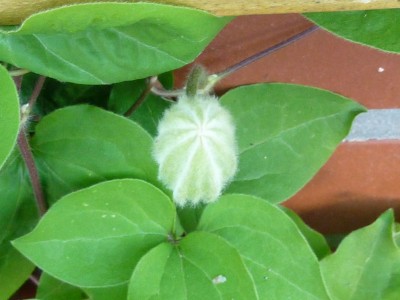 20120517 131 - Kopie (1280x960).jpg