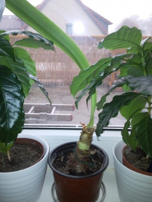 2012-11-28 09.49.11.jpg