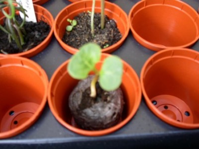 PICT0314.JPG
