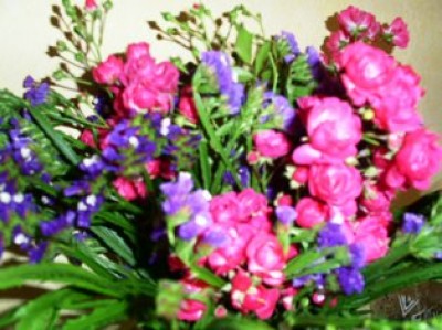 PICT0352.JPG