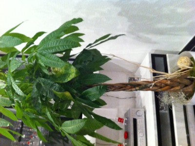 Foto 4.JPG