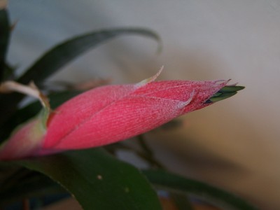 Fotos 025.jpg
