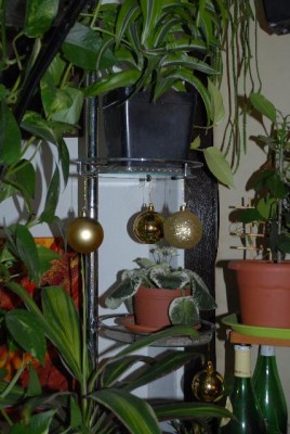 Advent2012 036yy.jpg