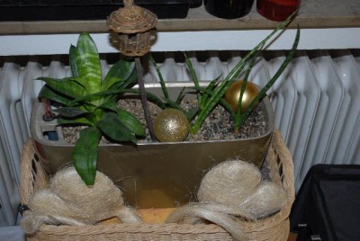 Advent2012 035yy.jpg