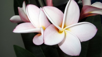 IMG_1776 kl.jpg