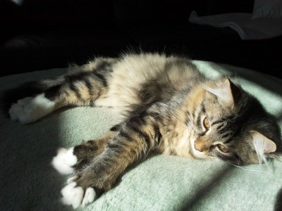 2012-10-03_Mina.jpg
