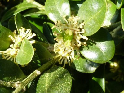 20120331 089 - Kopie (640x480).jpg