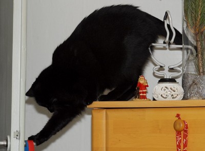 dsc_8332_Muffin_Kletterpartie.jpg