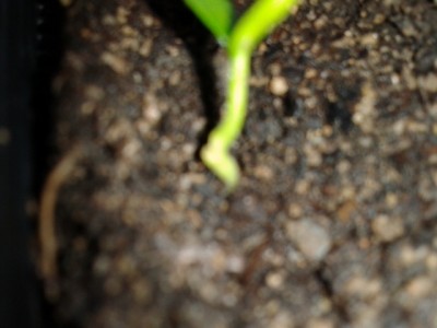 2012-11-27 15.12.19.jpg