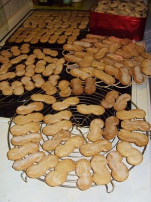 Photo1.jpg