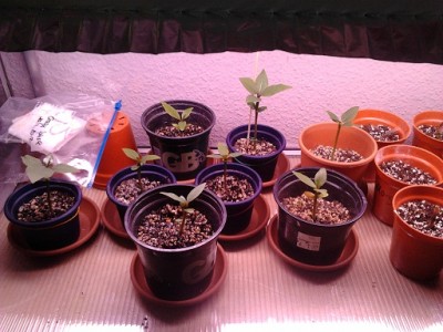 2012-12-04 09.10.10.jpg