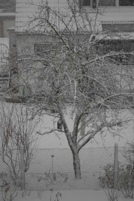 winter2012 007yy.jpg