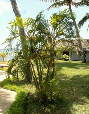 PICT4837c.jpg