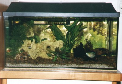 70 Aquarium.JPG