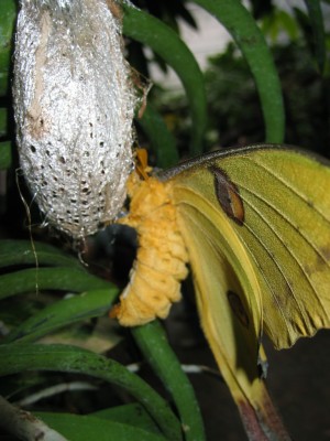 IMG_8858.JPG