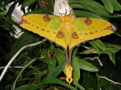 IMG_8855.JPG