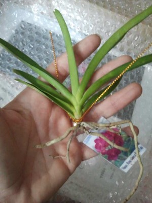 2012-12-12 11.02.22.jpg