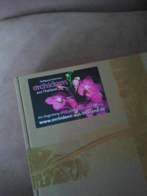2012-12-12 10.59.01.jpg