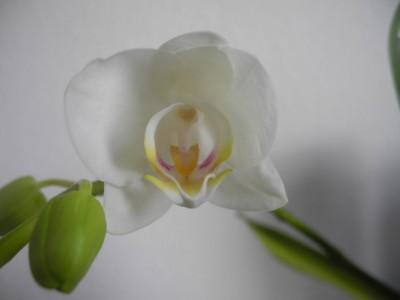 DSCN4972.JPG