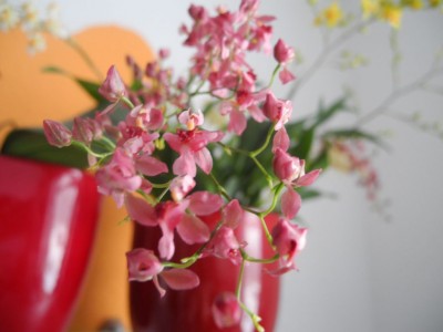 DSCN4970.JPG