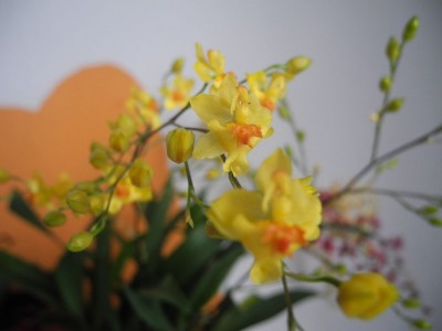 DSCN4969.JPG