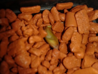 2012-12-12 14.27.35.jpg