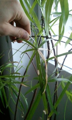 2012-12-14 15.48.33.jpg