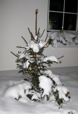 Christbaum_8076.JPG