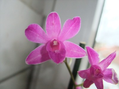 DSCF8734.JPG