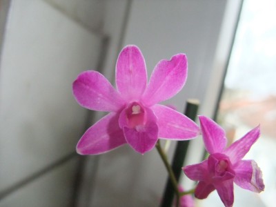 DSCF8733.JPG