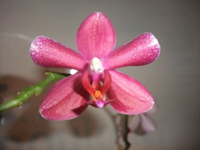 DSCF8728.JPG