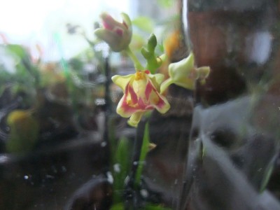DSCF8707.JPG