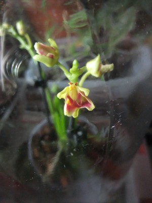 DSCF8704.JPG
