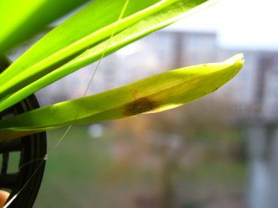 IMG_1967.JPG