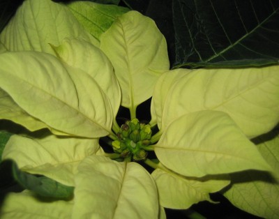 green10 336.jpg
