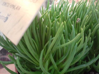 2012-12-19 17.46.38.jpg
