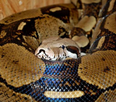 angelika2012 014yy.jpg