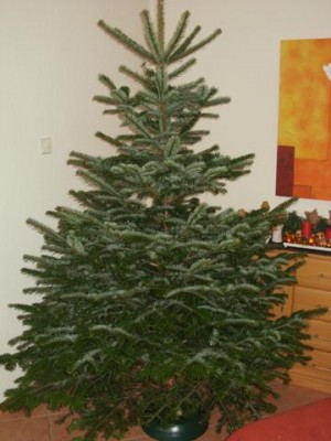 Photo2.jpg