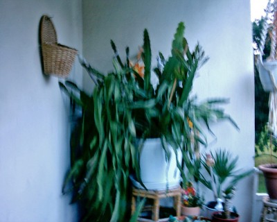 DSC_0001_edited.JPG