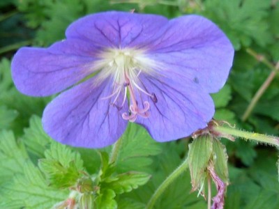 20111027 021 - Kopie (640x480).jpg