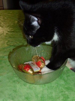 20121223 034 - Kopie (480x640).jpg