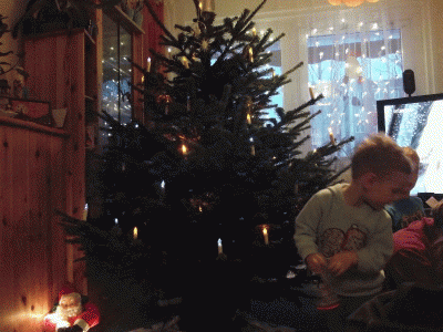 Baumschmuecken3.gif