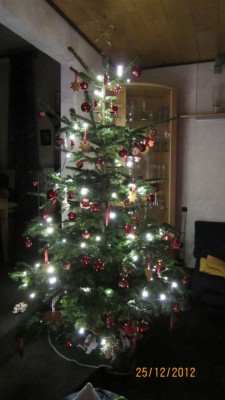 Weihnachtsbaum 2012.jpg