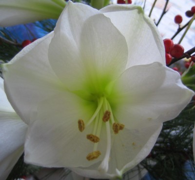 green10 419.jpg