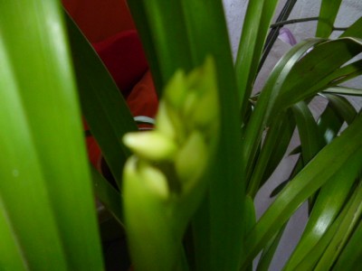 P1010459.JPG
