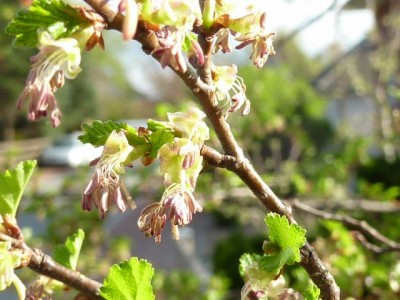 20120428 031 - Kopie (640x480).jpg