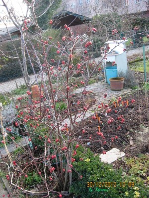 Bild 023.jpg