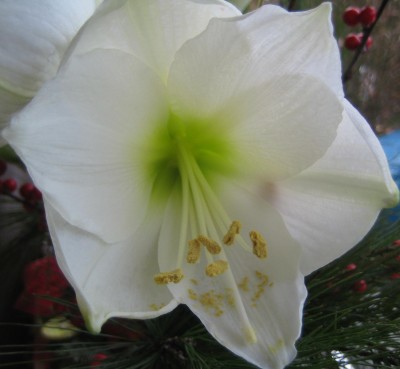 green10 412.jpg