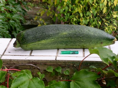 PICT0086.JPG